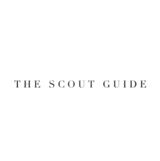 The Scout Guide